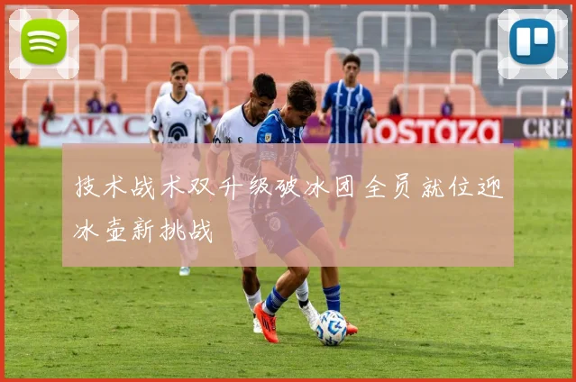 技术战术双升级破冰团全员就位迎冰壶新挑战
