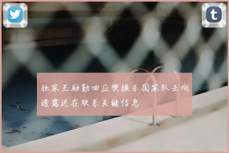 独家王励勤回应樊振东国家队去向透露还在联系关键信息