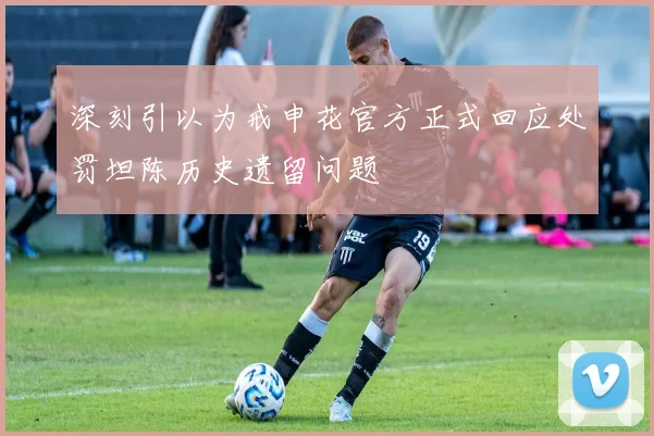 深刻引以为戒申花官方正式回应处罚坦陈历史遗留问题